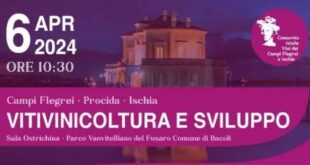 SALA OSTRICHINA 6 Aprile: Focus Consorzio Tutela dei vini Campi Flegrei e Ischia