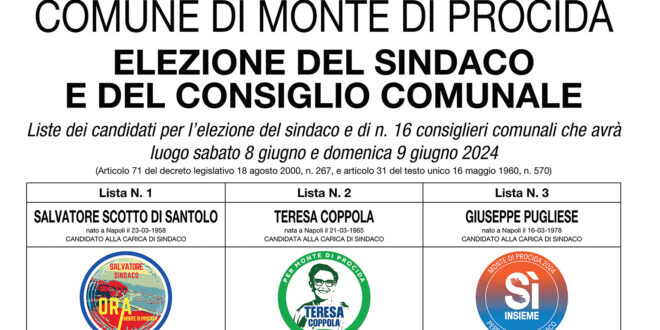 Elezioni comunali Monte di Procida, dati e curiosità sui candidati a sindaco e candidati consiglieri